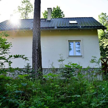 Gorski Domek Kolo Karpacza- Apartamentuj Екстериор снимка