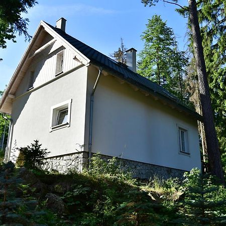 Gorski Domek Kolo Karpacza- Apartamentuj Екстериор снимка