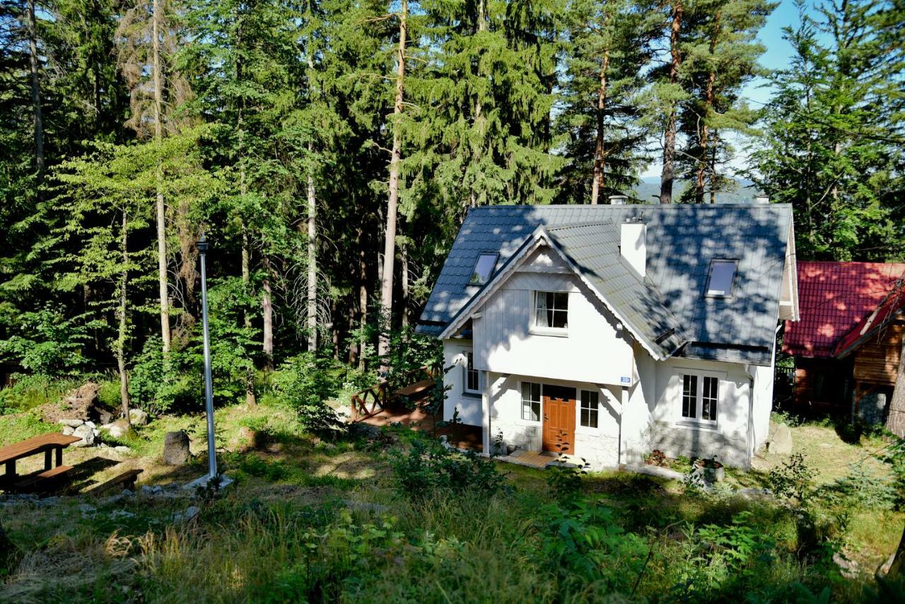 Gorski Domek Kolo Karpacza- Apartamentuj Екстериор снимка