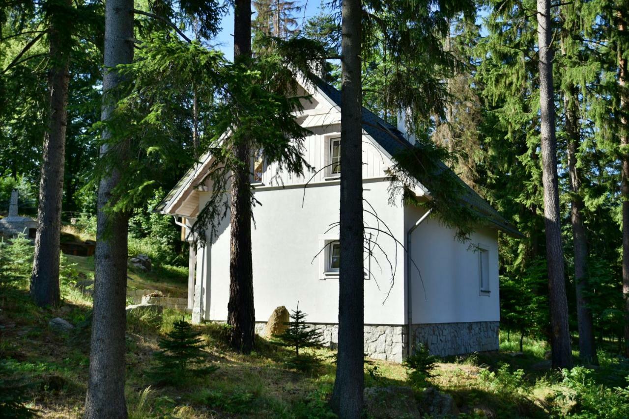 Gorski Domek Kolo Karpacza- Apartamentuj Екстериор снимка
